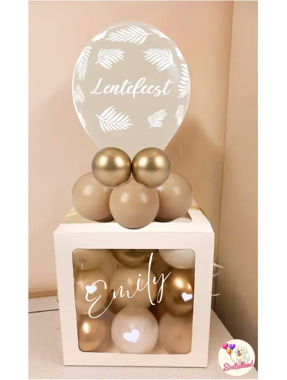 Ballonbox - Lentefeest